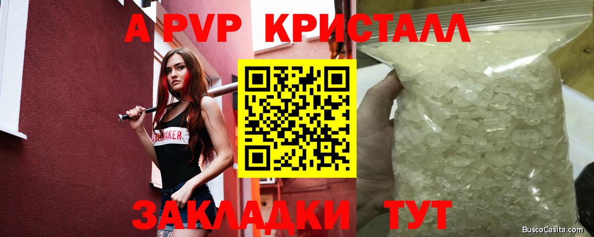 A PVP СК КРИС Фролово