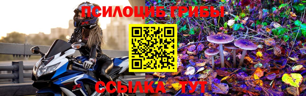 Галлюциногенные грибы MAGIC MUSHROOMS Фролово
